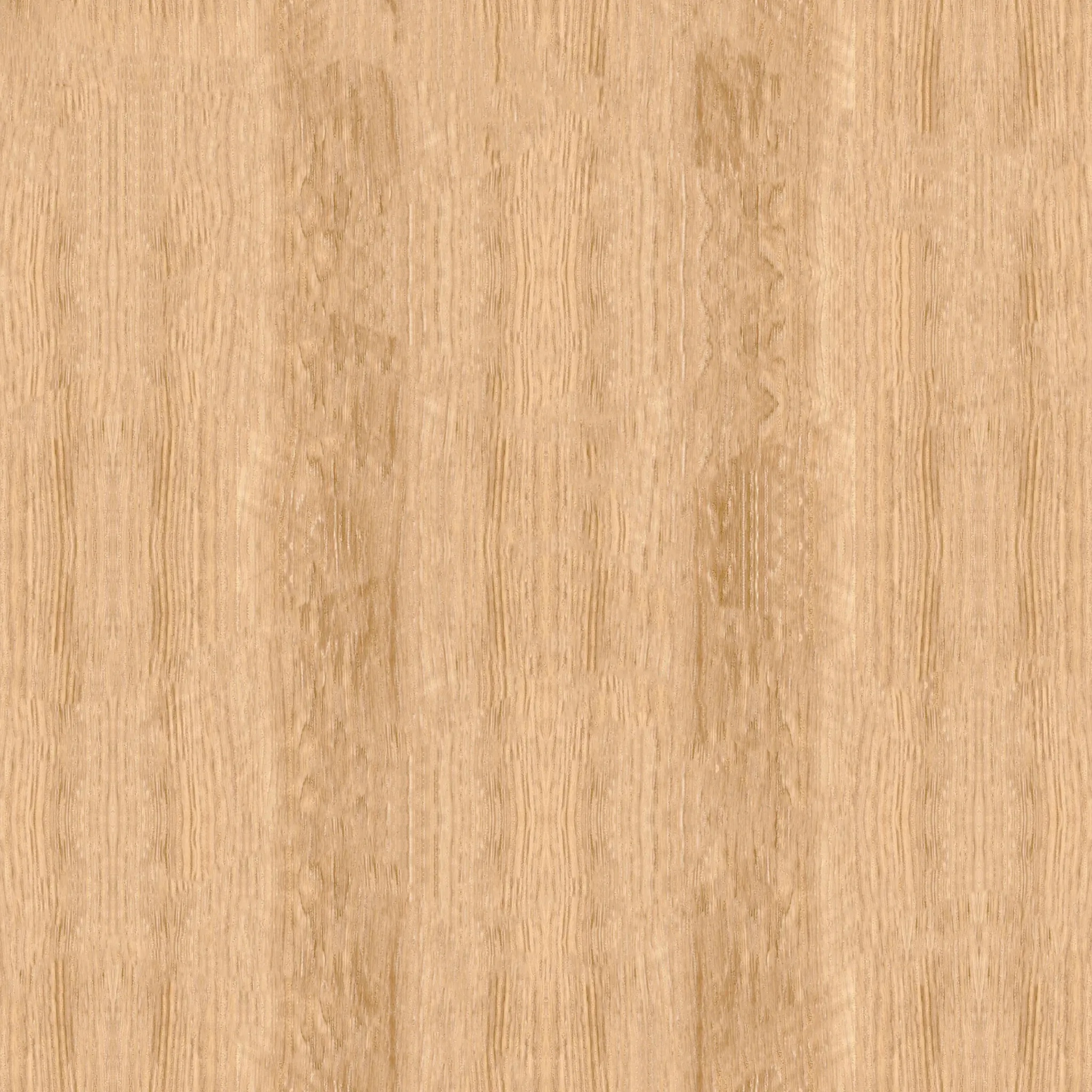 Дуб пісочний